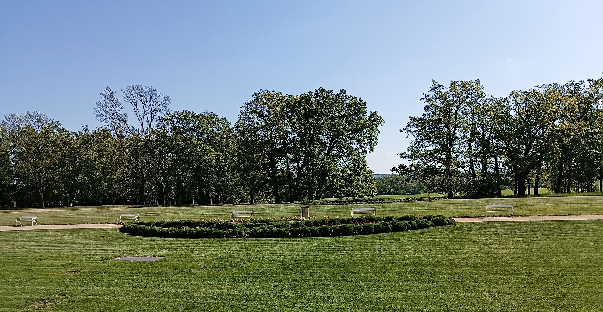 anglický park